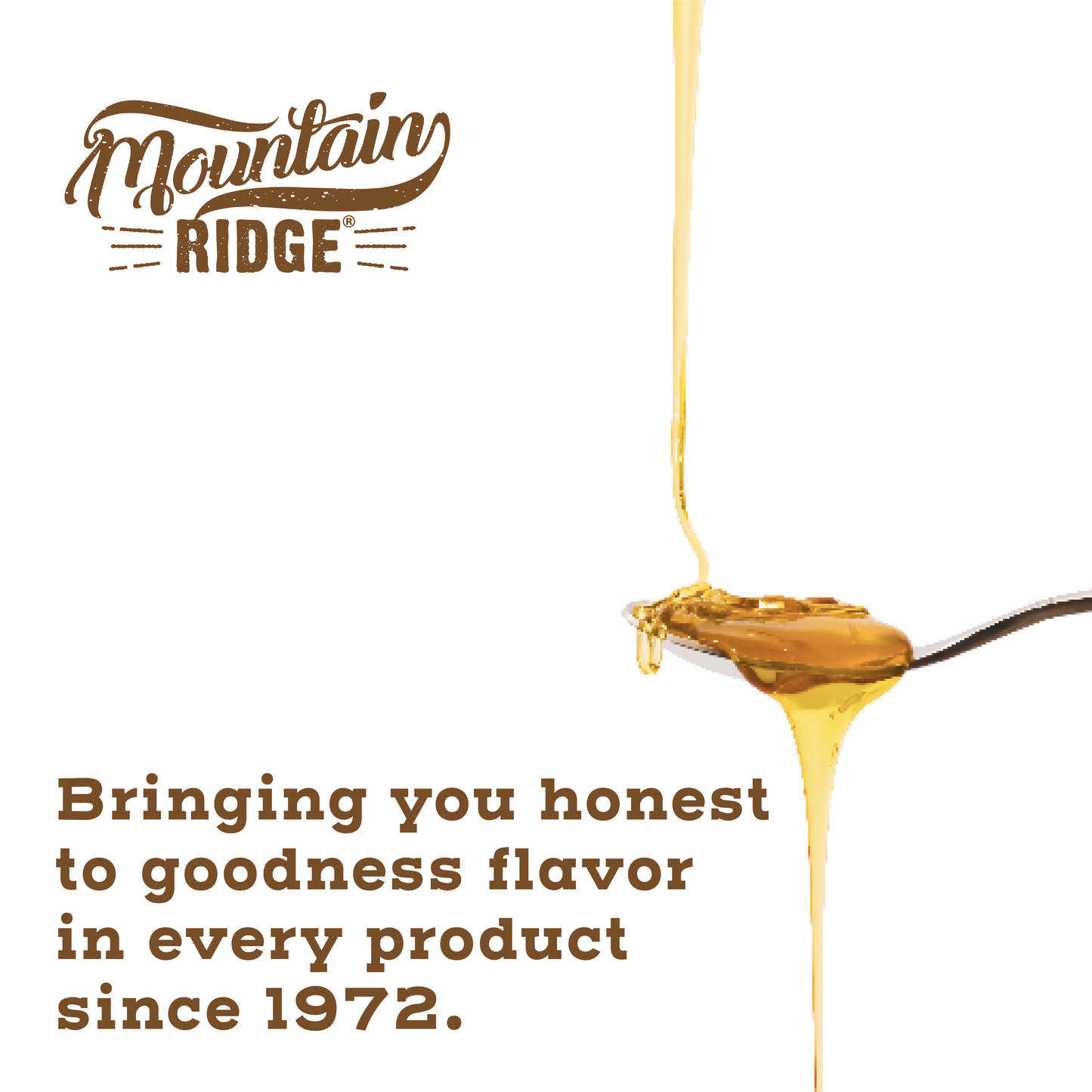 Mountain Ridge Hot Honey - 12oz