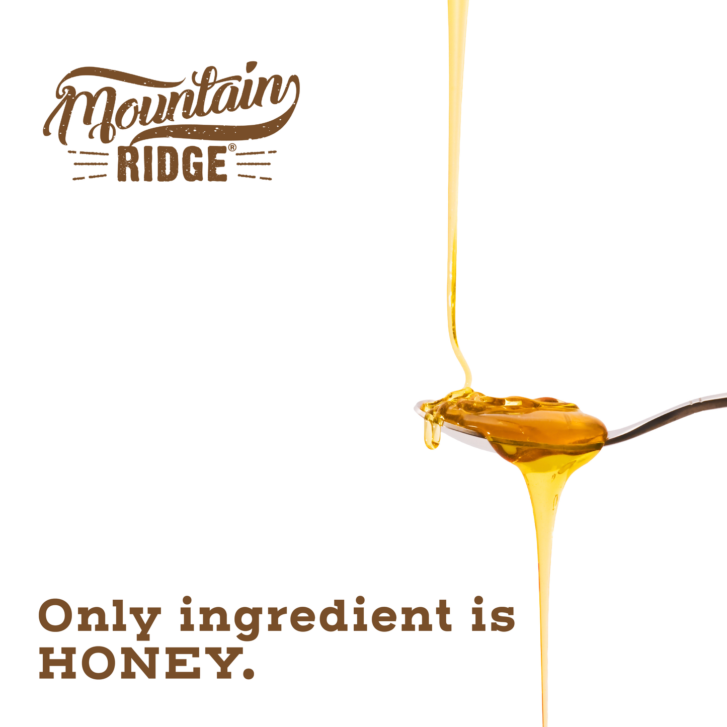 Mountain Ridge Raw Honey - 22oz