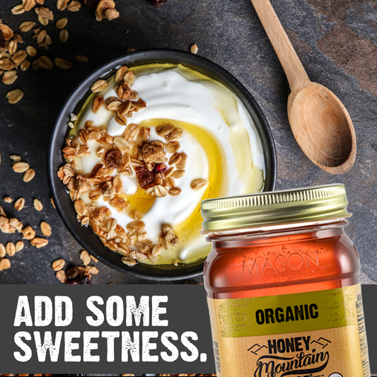 Mountain Ridge Organic Honey - 22oz