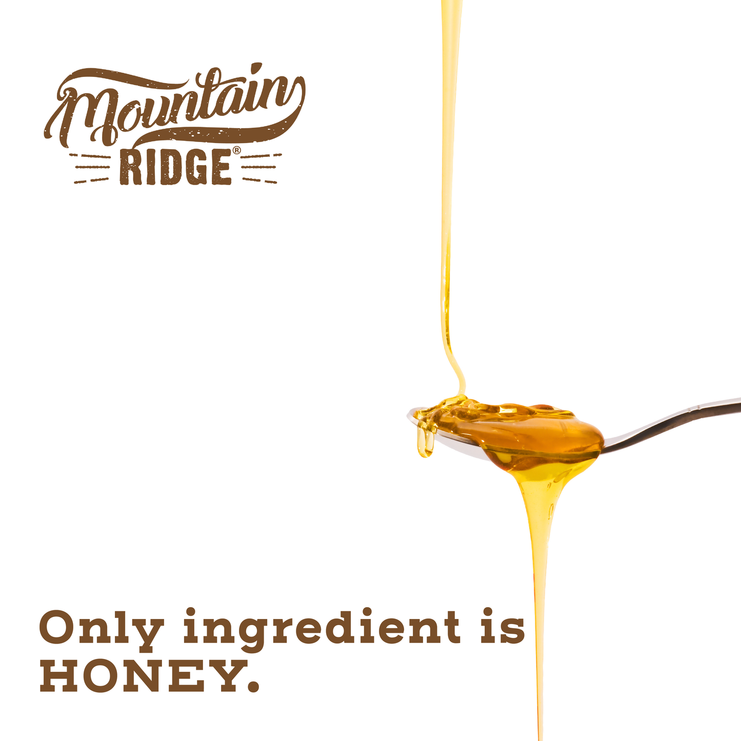 Mountain Ridge Organic Honey - 22oz