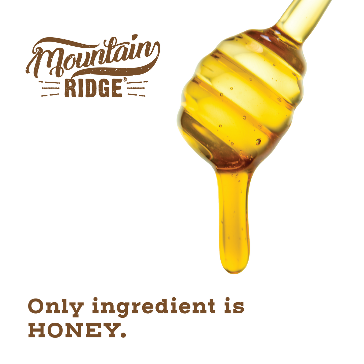 Mountain Ridge Organic Honey - 12oz Bear